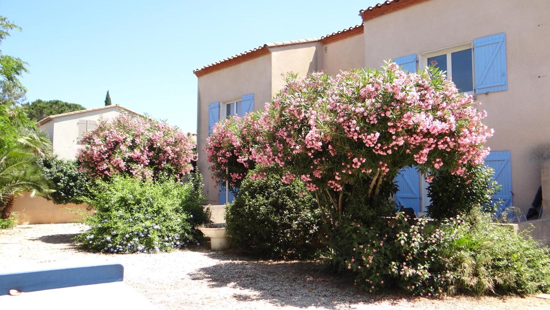 Residence L'Orangeraie-2-Claira 66530 Εξωτερικό φωτογραφία