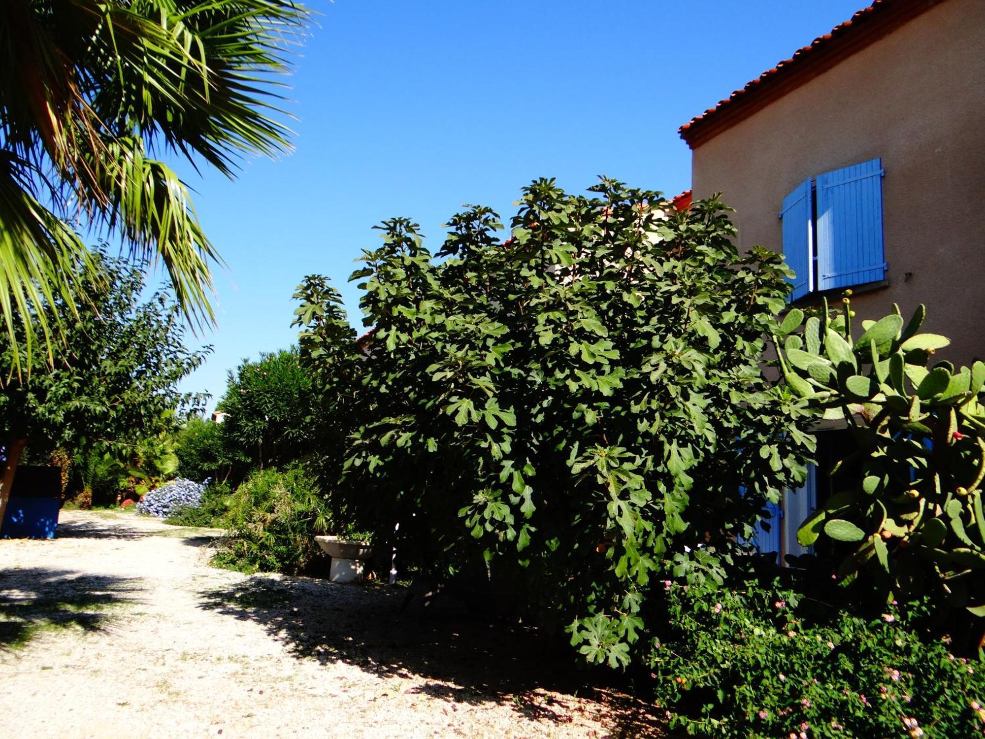 Residence L'Orangeraie-2-Claira 66530 Εξωτερικό φωτογραφία